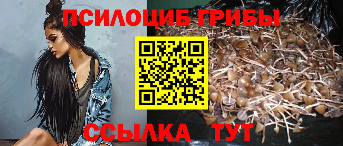 Псилоцибиновые грибы мицелий Крымск