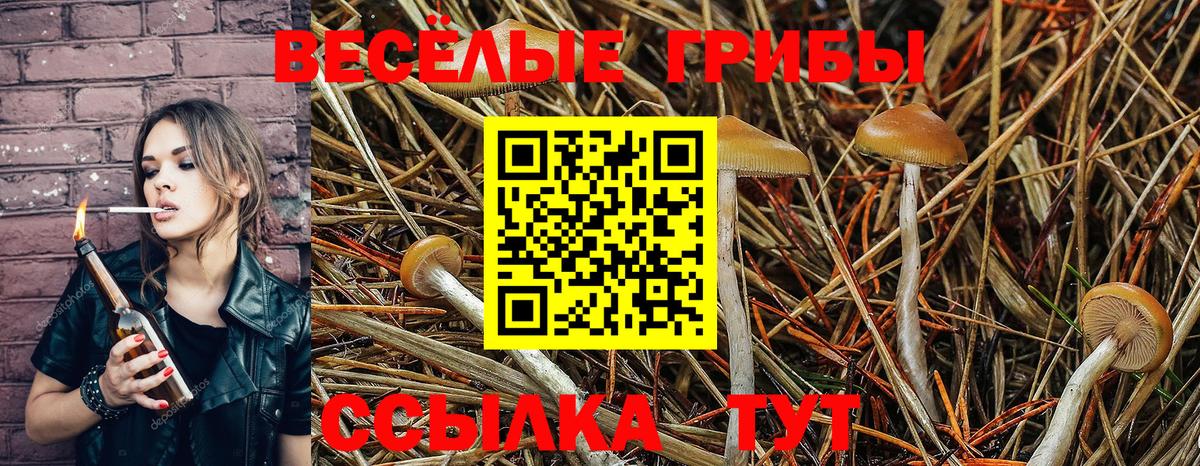 Крымск  где купить наркоту  Галлюциногенные грибы мицелий  Вход с VPN  Галлюциногенные грибы мицелий 